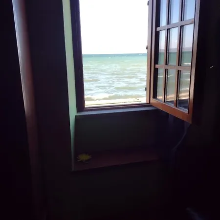 The View * Marta
